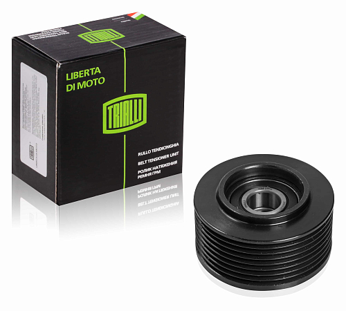 Ролик привод. ремня для автомобилей КАМАЗ Евро-5 (аналог Dayco 26900-21) (опорный ролик)