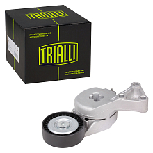 Ролик привод. ремня для автомобилей Skoda Octavia A5 (04-) 1.6i/1.8i/2.0i (с натяж. мех.) (CM 1806)