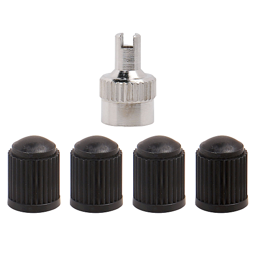 Ремкомплект для вентилей (4 золотника, 4 пласт.колп, 1 ключ) в кейсе