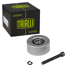 Ролик ГРМ для автомобилей Chevrolet Cruze (09-) 1.6i/1.8i (опор.) (CM 0504)