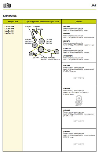 Ролик приводного ремня для автомобилей MAN TGA (02-)/TGS (07-)/TGX (07-) [D2066] (с натяжным механизмом)