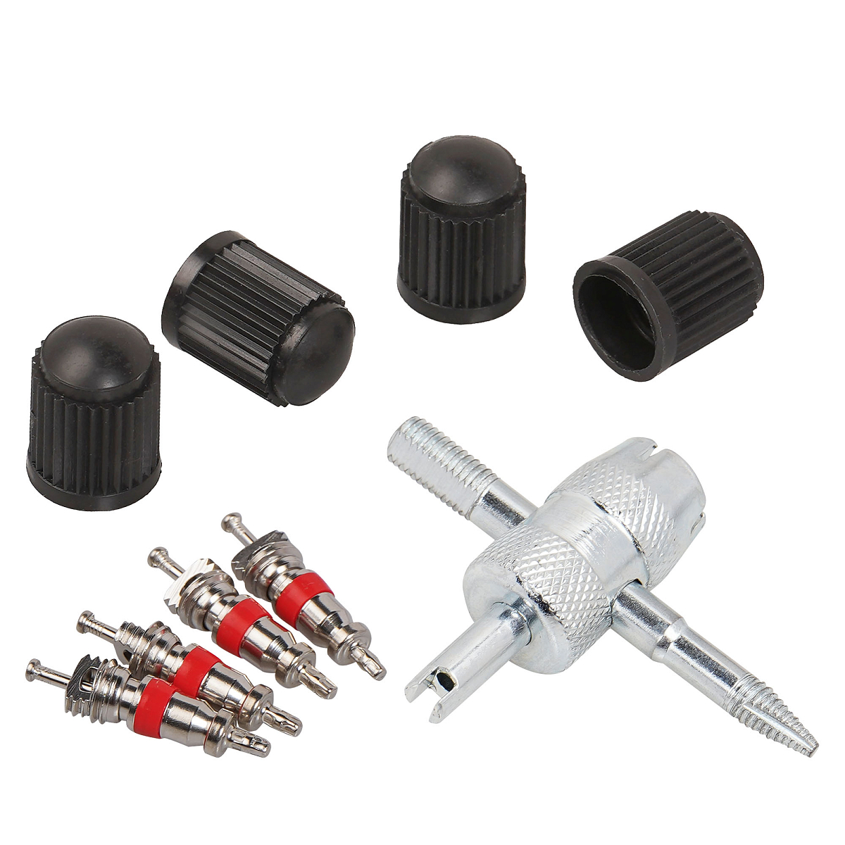 Ремкомплект для вентилей (4 золотника, 4 пласт.колп, 1 метчик) в кейсе