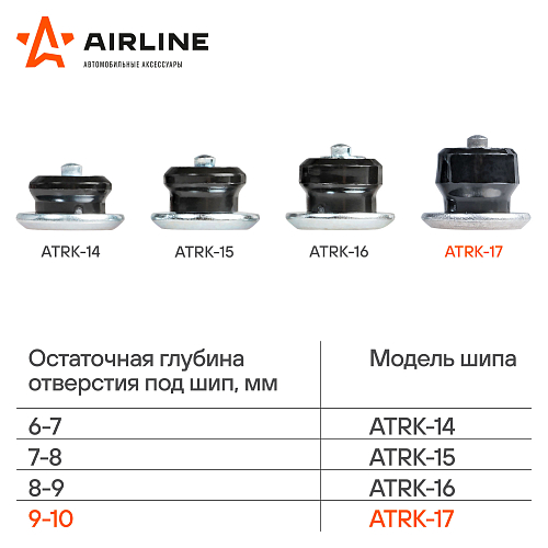 Шипы ремонтные 10 мм, 100 шт. в пакете со стикером