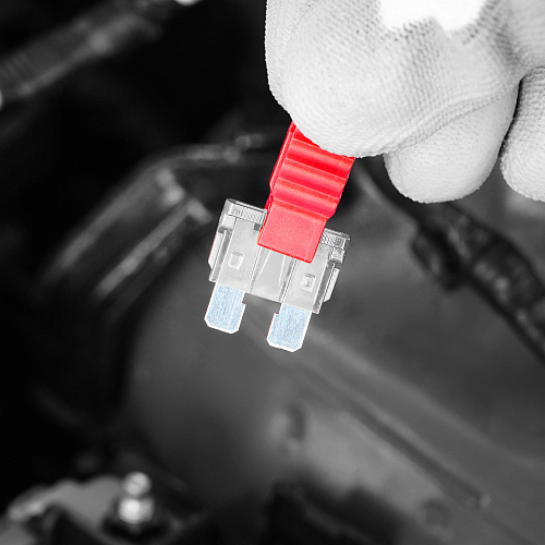 Предохранители "стандарт" 25A в пакете 50шт.