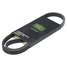 Ремень приводной для автомобилей Ford Kuga II (13-)/Mondeo V (15-) 2.0T/2.5i компрессор A/C (ELAST)