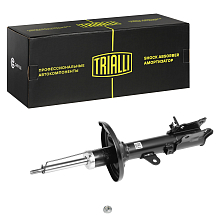 Амортизатор для автомобилей Hyundai Matrix (01-) задний правый