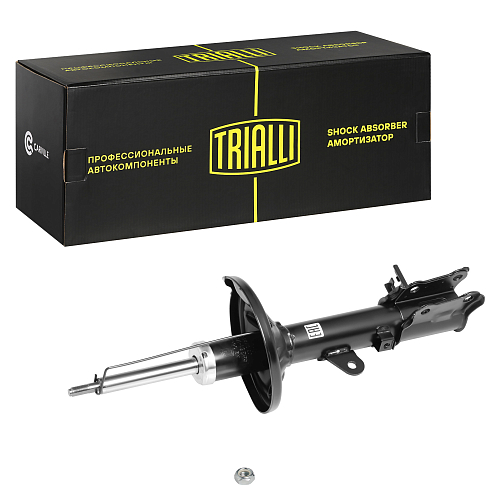 Амортизатор для автомобилей Hyundai Matrix (01-) задний правый