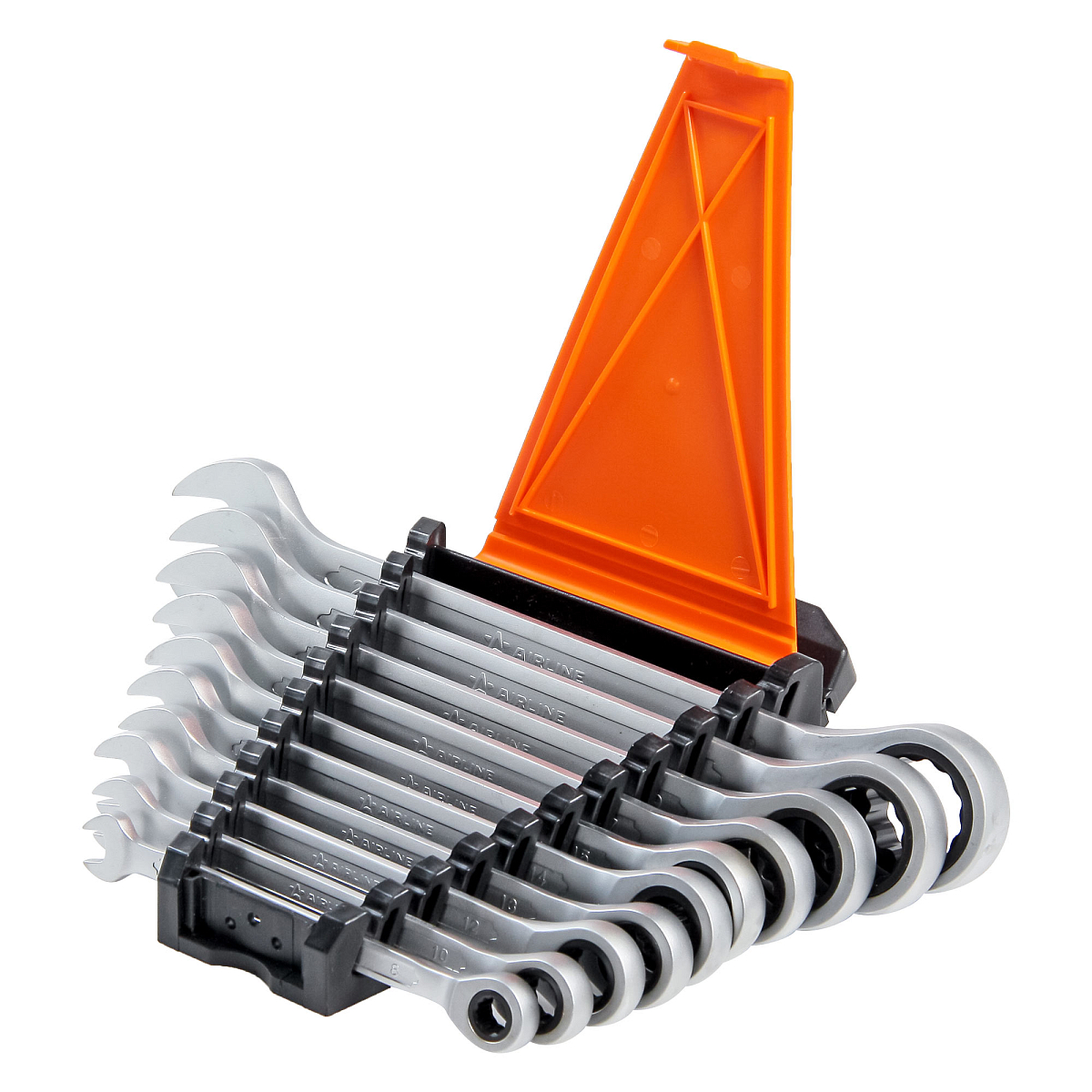 Набор ключей комбинированных трещоточных PRO 10пр. (8-24мм) холдер