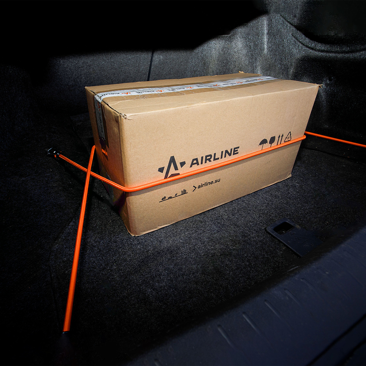 Резинки-стяжки набор 2 шт. 80 см, D-8 мм (металлические крючки)