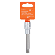 Головка торцевая 1/2"DR со вставкой RIBE M10, L=100мм