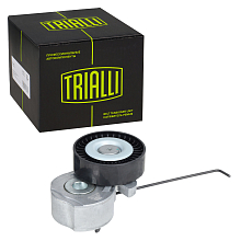 Ролик приводного ремня для автомобилей Volvo XC90 (02-)/Land Rover Freelander II (06-) 3.0T/3.2i (с натяжным механизмом)