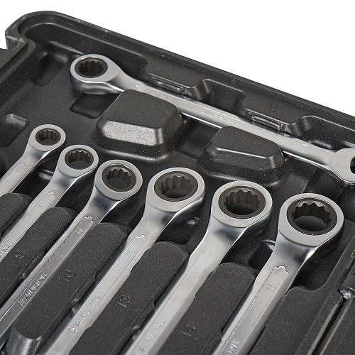 Набор ключей комбинированных трещоточных PRO 12пр. (8-19мм) пласт.кейс