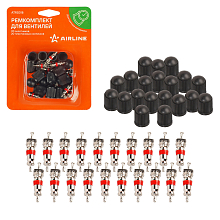 Ремкомплект для вентилей (20 золотников, 20 пласт. Колп.) в блистере