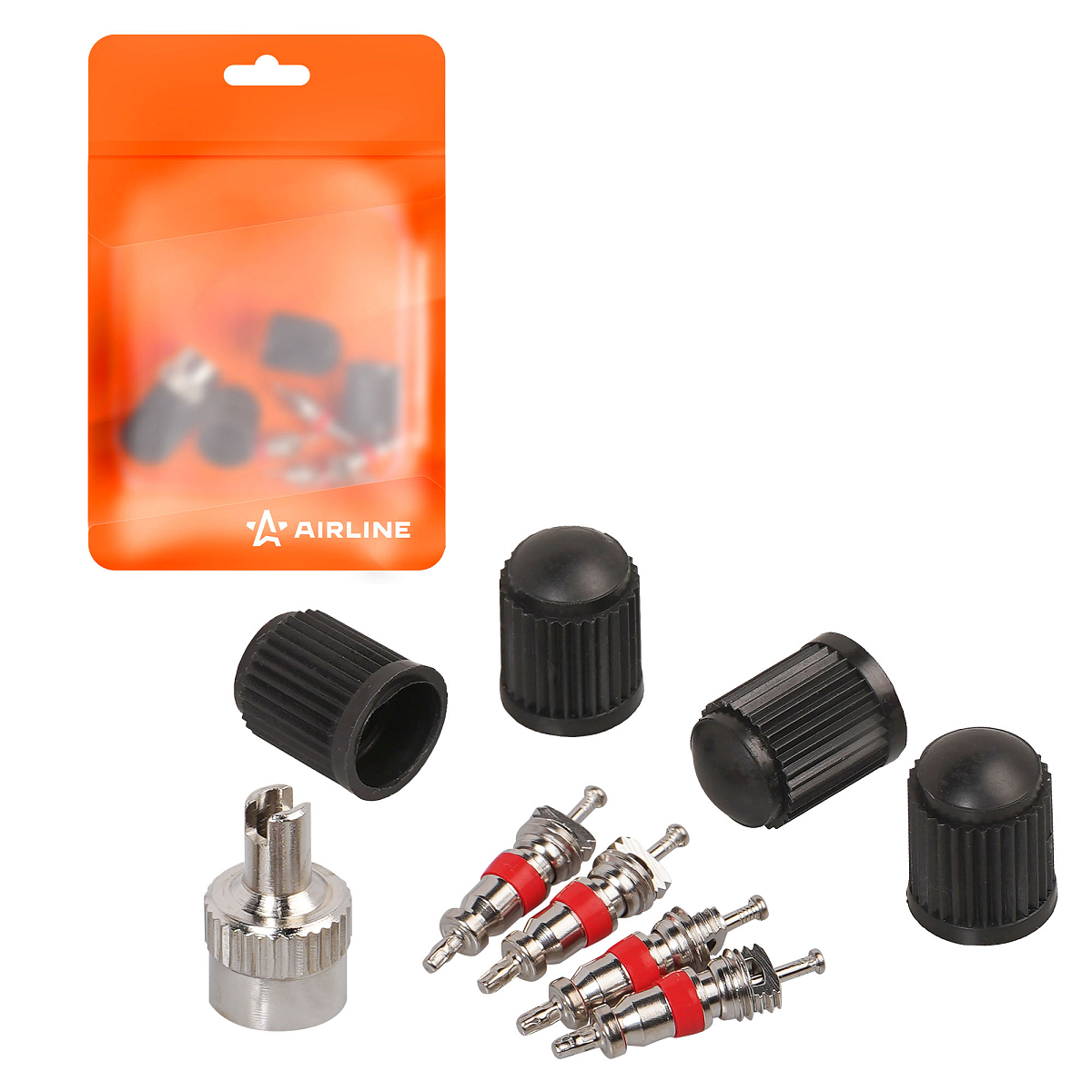 Ремкомплект для вентилей (4 золотника, 4 пласт.колп, 1 ключ) в пакете