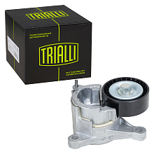 Ролик приводного ремня для автомобилей Peugeot 407 (04-) 1.8i/2.0i/2.2i [EW7;10;12J] (2005-) (с натяжным механизмом)