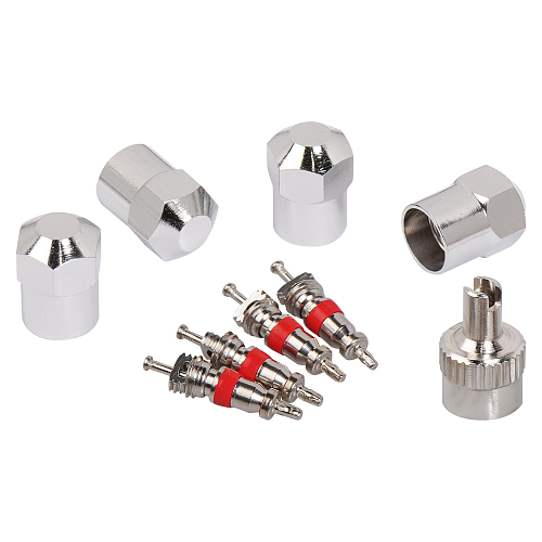 Ремкомплект для вентилей (4 золотника, 4 металл.колп, 1 ключ) в кейсе