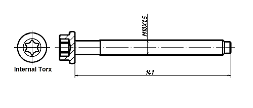 Болты ГБЦ для а/м Ford Focus II (05-)/Focus III (11-)/Fusion (02-) 1.4i/1.6i [HWDA; IQDB; PNDA; FYJA] (10 шт.)