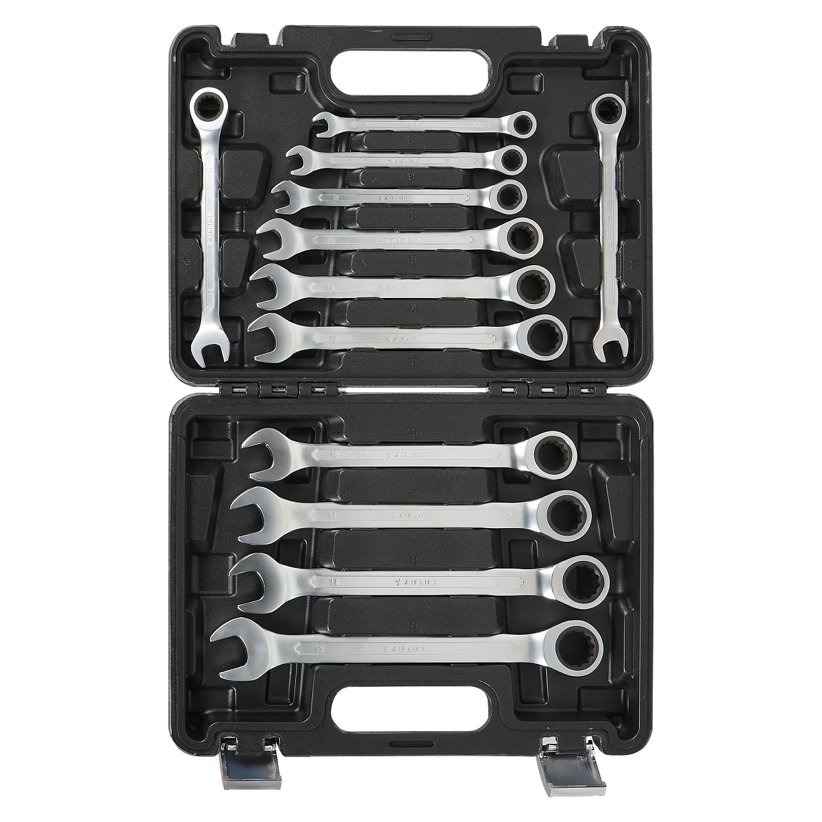 Набор ключей комбинированных трещоточных PRO 12пр. (8-19мм) пласт.кейс