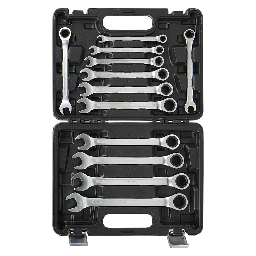 Набор ключей комбинированных трещоточных PRO 12пр. (8-19мм) пласт.кейс