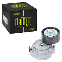 Ролик приводного ремня для автомобилей MAN TGA (02-)/TGS (07-)/TGX (07-) [D2066] (с натяжным механизмом)