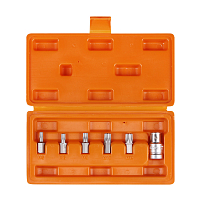 Набор бит вставок SPLINE 3/8" 30мм с держателем бит 1/2"DR 6 пр. блистер