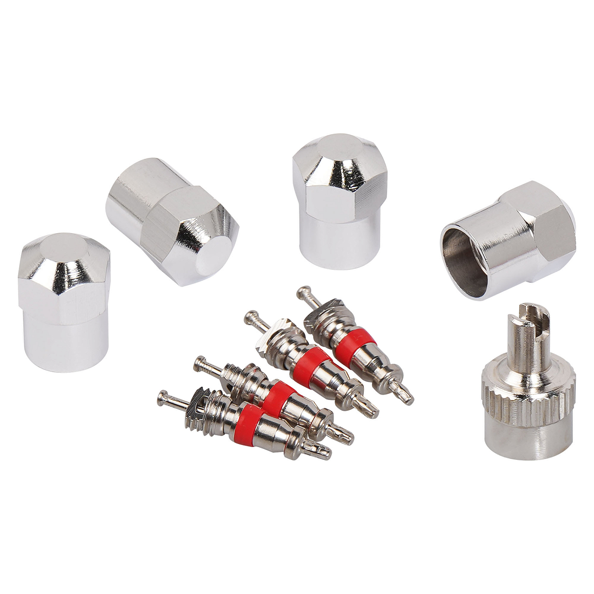 Ремкомплект для вентилей (4 золотника, 4 металл.колп, 1 ключ) в пакете