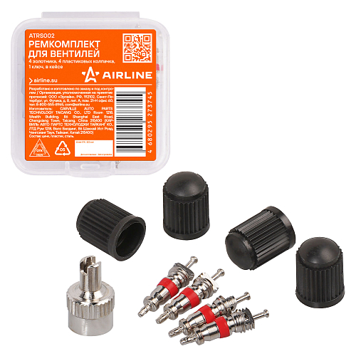 Ремкомплект для вентилей (4 золотника, 4 пласт.колп, 1 ключ) в кейсе