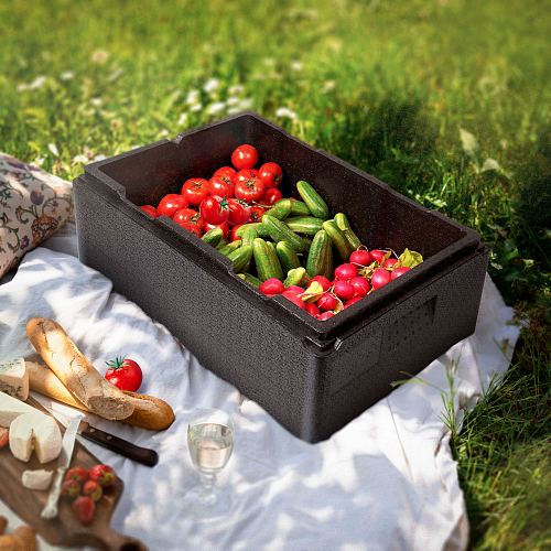 Термоконтейнер с крышкой 46 л, 600*400*320мм, ВПП, цвет черный