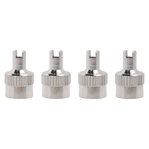 Ремкомплект для вентилей (4 золотника, 4 металл.колп. с ключом) в пакете