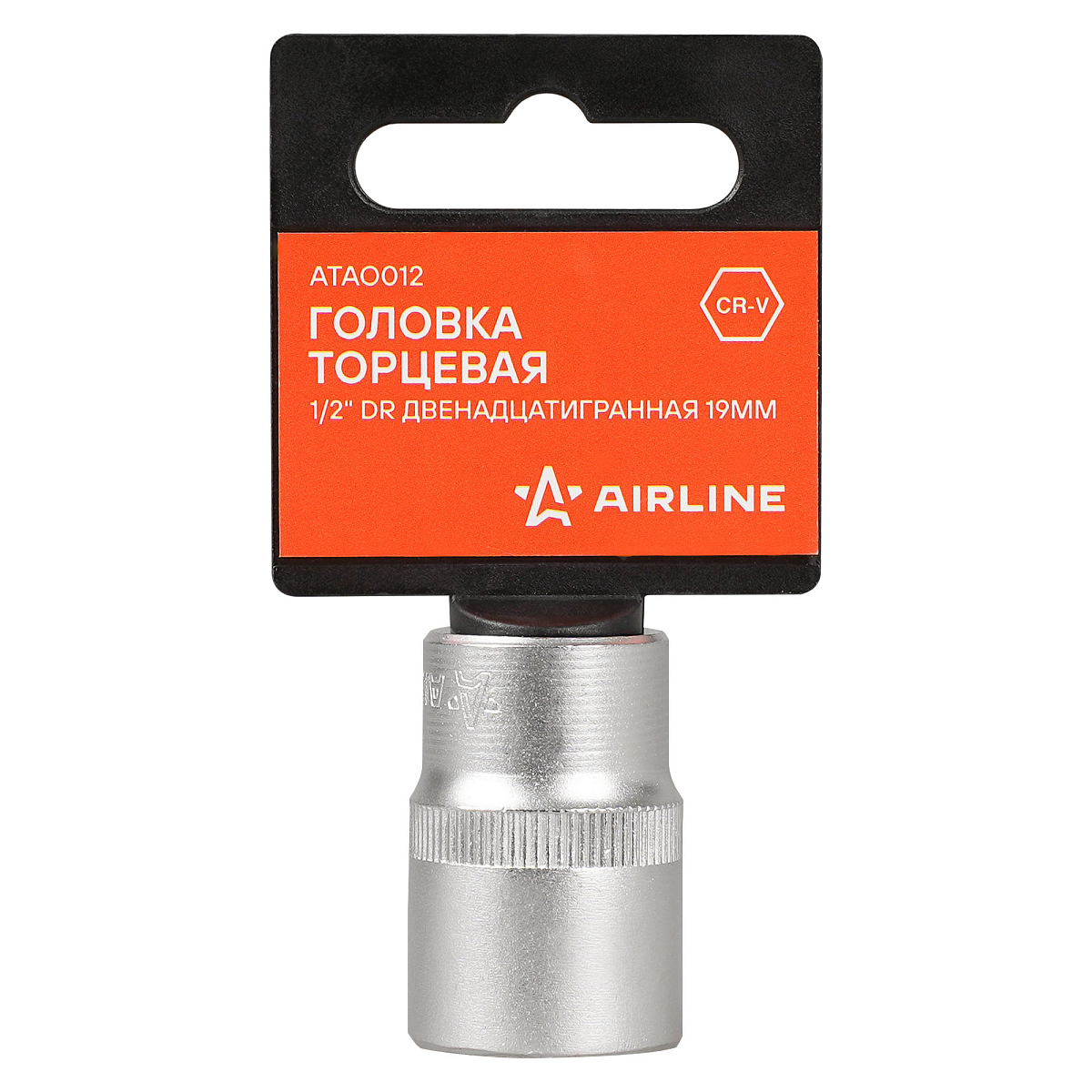 Головка торцевая 1/2"DR двенадцатигранная 19мм, L=38мм пласт.подвес